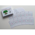 Wortfamilien - Kartenspiele (Wortstämme mit tz)